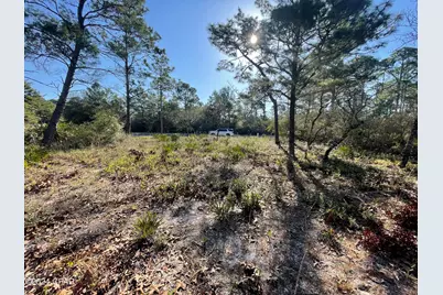 131 Laughing Gull Lane, Carrabelle, FL 32322 - Photo 10