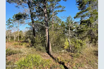 131 Laughing Gull Lane, Carrabelle, FL 32322 - Photo 4