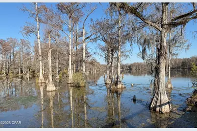 0003 Appalachee Trail, Marianna, FL 32446 - Photo 14