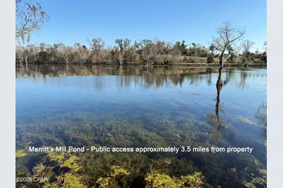 0003 Appalachee Trail, Marianna, FL 32446 - Photo 12