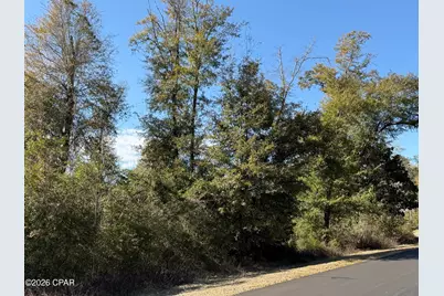0003 Appalachee Trail, Marianna, FL 32446 - Photo 2