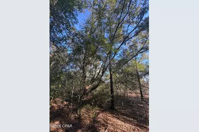 Lot 55 Owl Court, Marianna, FL 32448 - Photo 4