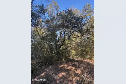 Lot 55 Owl Court, Marianna, FL 32448 - Photo 2