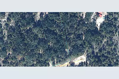 Lot 55 Owl Court, Marianna, FL 32448 - Photo 12