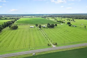 5223-A Palamino Ln, Greenwood, FL 32443 - Photo 8