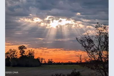 5223-A Palamino Lane, Greenwood, FL 32443 - Photo 48