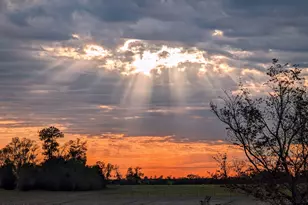 5223-A Palamino Ln, Greenwood, FL 32443 - Photo 48