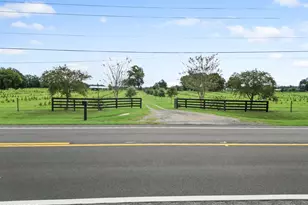 5223-A Palamino Ln, Greenwood, FL 32443 - Photo 12