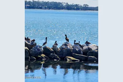 401 Arizona Drive, Mexico Beach, FL 32456 - Photo 10