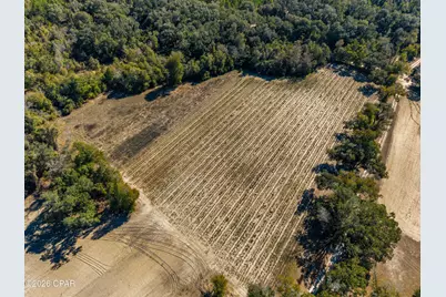 00 Sylvania Plantation Road, Greenwood, FL 32443 - Photo 38
