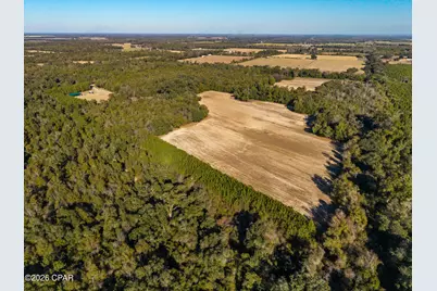 00 Sylvania Plantation Road, Greenwood, FL 32443 - Photo 32