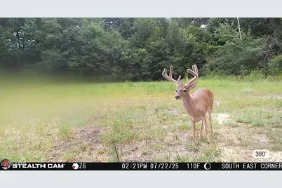 00 Sylvania Plantation Road, Greenwood, FL 32443 - Photo 52