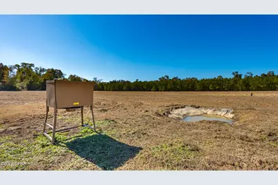 00 Sylvania Plantation Road, Greenwood, FL 32443 - Photo 6