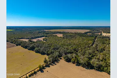 00 Sylvania Plantation Road, Greenwood, FL 32443 - Photo 34