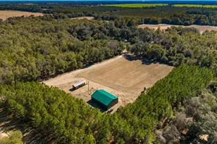 00 Sylvania Plantation Rd, Greenwood, FL 32443 - Photo 1
