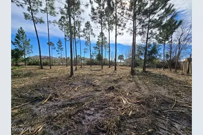 429 7th Street, Mexico Beach, FL 32456 - Photo 4