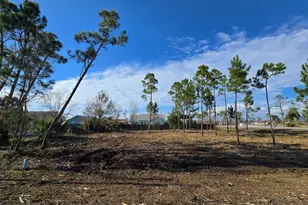 429 7th St, Mexico Beach, FL 32456 - Photo 1