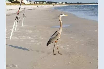 429 7th Street, Mexico Beach, FL 32456 - Photo 12