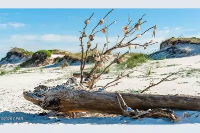 223 Park Point Circle, Cape San Blas, FL 32456 - Photo 16