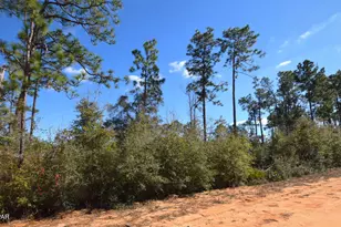 Xxx Fairborn Ave, Alford, FL 32420 - Photo 1