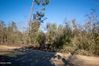 8450 Kiwi Lane, Youngstown, FL 32466 - Photo 6