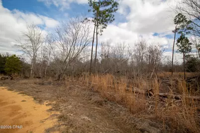 8450 Kiwi Lane, Youngstown, FL 32466 - Photo 12