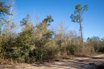 8450 Kiwi Lane, Youngstown, FL 32466 - Photo 6