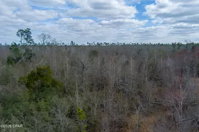 8450 Kiwi Lane, Youngstown, FL 32466 - Photo 20