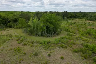 2031 Crews Pl, Bonifay, FL 32425 - Photo 64
