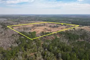 2031 Crews Pl, Bonifay, FL 32425 - Photo 72