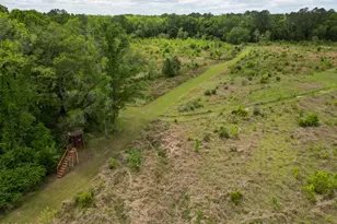 2031 Crews Pl, Bonifay, FL 32425 - Photo 68
