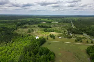 2031 Crews Pl, Bonifay, FL 32425 - Photo 66