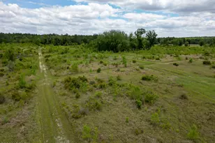 2031 Crews Pl, Bonifay, FL 32425 - Photo 72