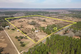 2031 Crews Pl, Bonifay, FL 32425 - Photo 70