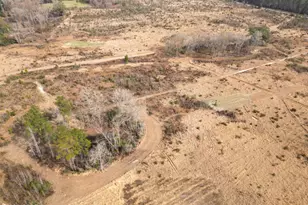 2031 Crews Pl, Bonifay, FL 32425 - Photo 76