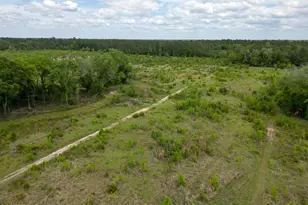 2031 Crews Pl, Bonifay, FL 32425 - Photo 74