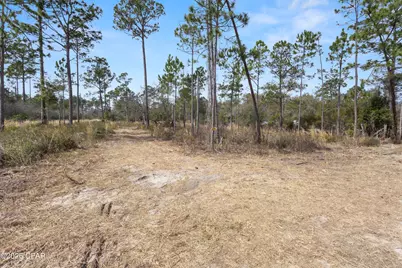 21101 Joann Lane, Fountain, FL 32438 - Photo 14