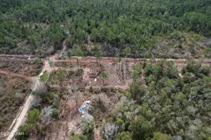 21101 Joann Ln, Fountain, FL 32438 - Photo 1