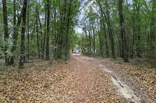 1413 Walker Rd, Graceville, FL 32440 - Photo 22