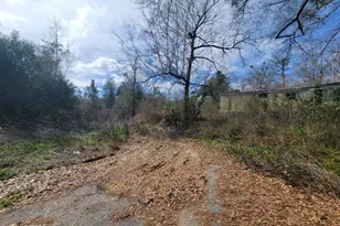 2905 Circle T Way, Marianna, FL 32448 - Photo 4