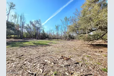 Tbd Hwy 90, Sneads, FL 32460 - Photo 2