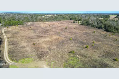 7849 Leatherneck Trail, Grand Ridge, FL 32442 - Photo 14