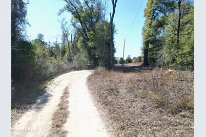 7849 Leatherneck Trail, Grand Ridge, FL 32442 - Photo 8