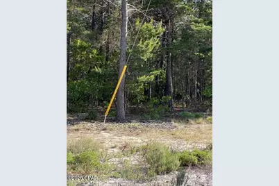 0 No Street Address, Panama City Beach, FL 32413 - Photo 10