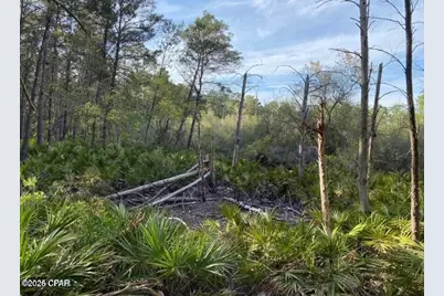 0 No Street Address, Panama City Beach, FL 32413 - Photo 12