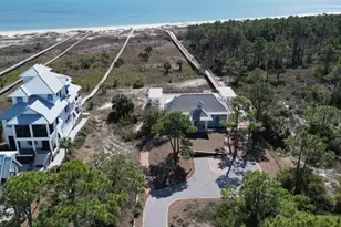 189 Cord Grass Way, Port Saint Joe, FL 32456 - Photo 68