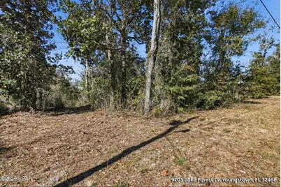 9203 Lake Forest Drive, Youngstown, FL 32466 - Photo 14
