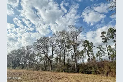 1718 Palmview Road, Cottondale, FL 32431 - Photo 6