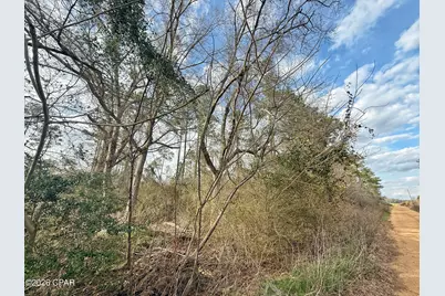 1718 Palmview Road, Cottondale, FL 32431 - Photo 4