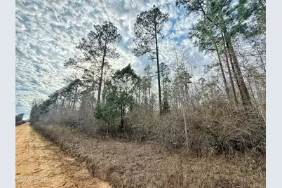 1718 Palmview Road, Cottondale, FL 32431 - Photo 1